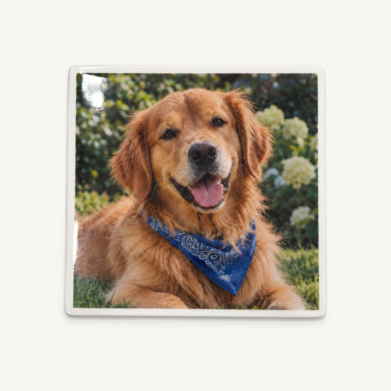 Square ceramic photo concept with white border